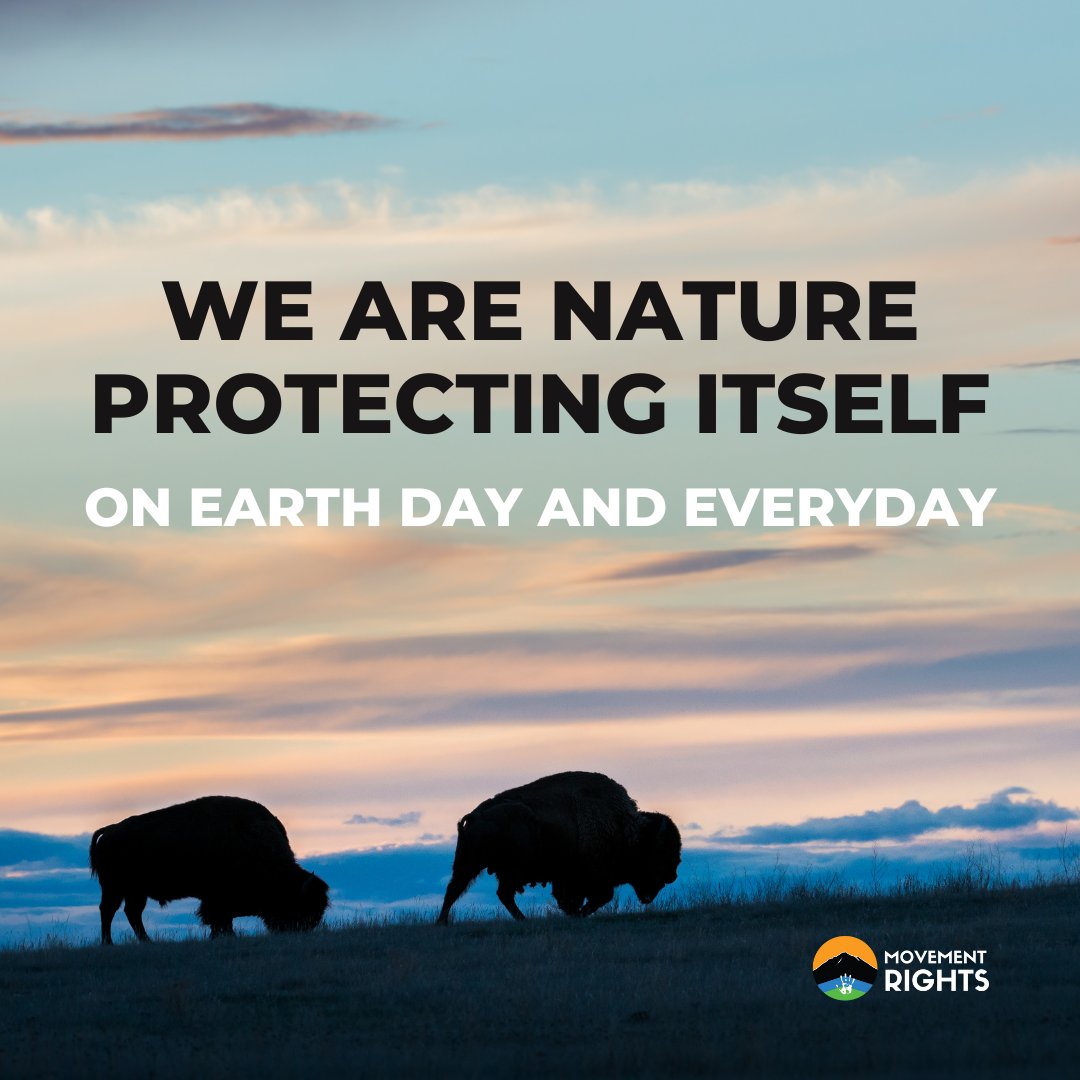 movementrights's tweet photo. 🌎 💓 As Casey Camp-Horinek would say "We are Nature Protecting Itself", not just today but every day since time immemorial. 

How are you caring for Mother Earth today? 🌎

#earthday #earthdayiseveryday #waterprotector #landdefender #landback #buffalo #wildbuffalo https://t.co/vOhWbuyOez
