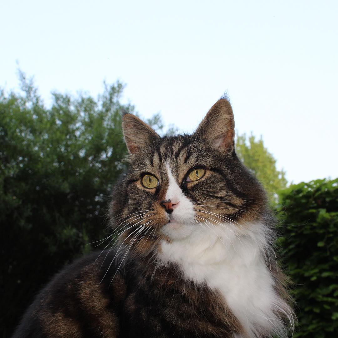 MYSADCAT's tweet photo. https://t.co/2rl15ktH6C https://t.co/kLUYCyP9Zx
