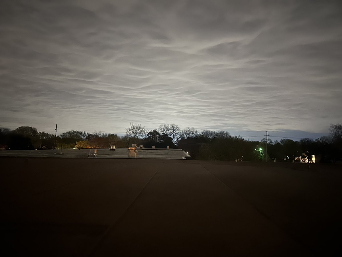 this life stuff magnificent