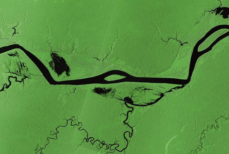 International Earth's Day!
South America is home to pulsating biodiversity, with one of the most significant forests in the world. We are proud to operate in areas such as Amazonian Forest in projects that help preserve it and use our resources in favor of conserving the planet.