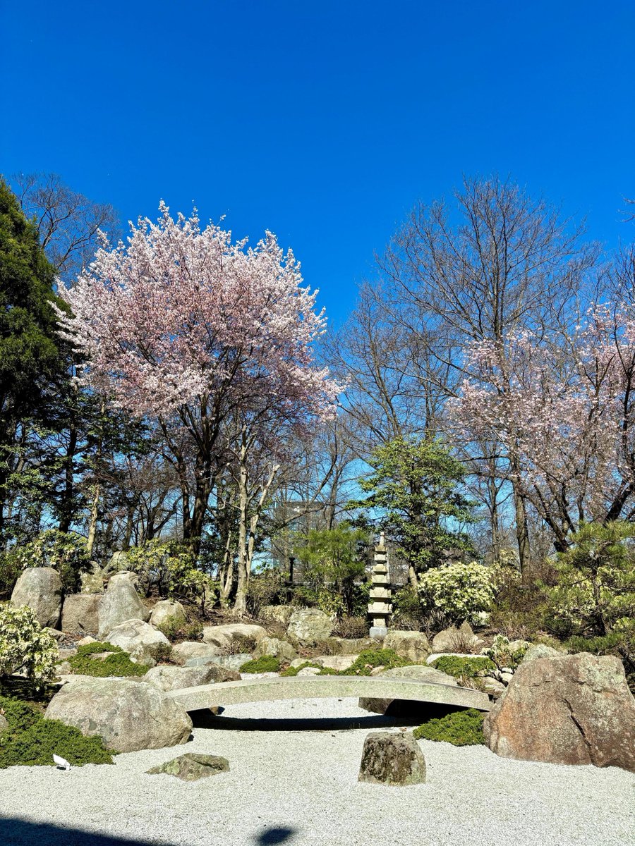 Happy #EarthDay from our favorite hidden oasis 💚 The MFA's Japanese Garden is anchored by more than 200 stones and is home to more than 70 species of plants drawn from America and Japan, providing color and texture to the landscape. It's now open for the season!