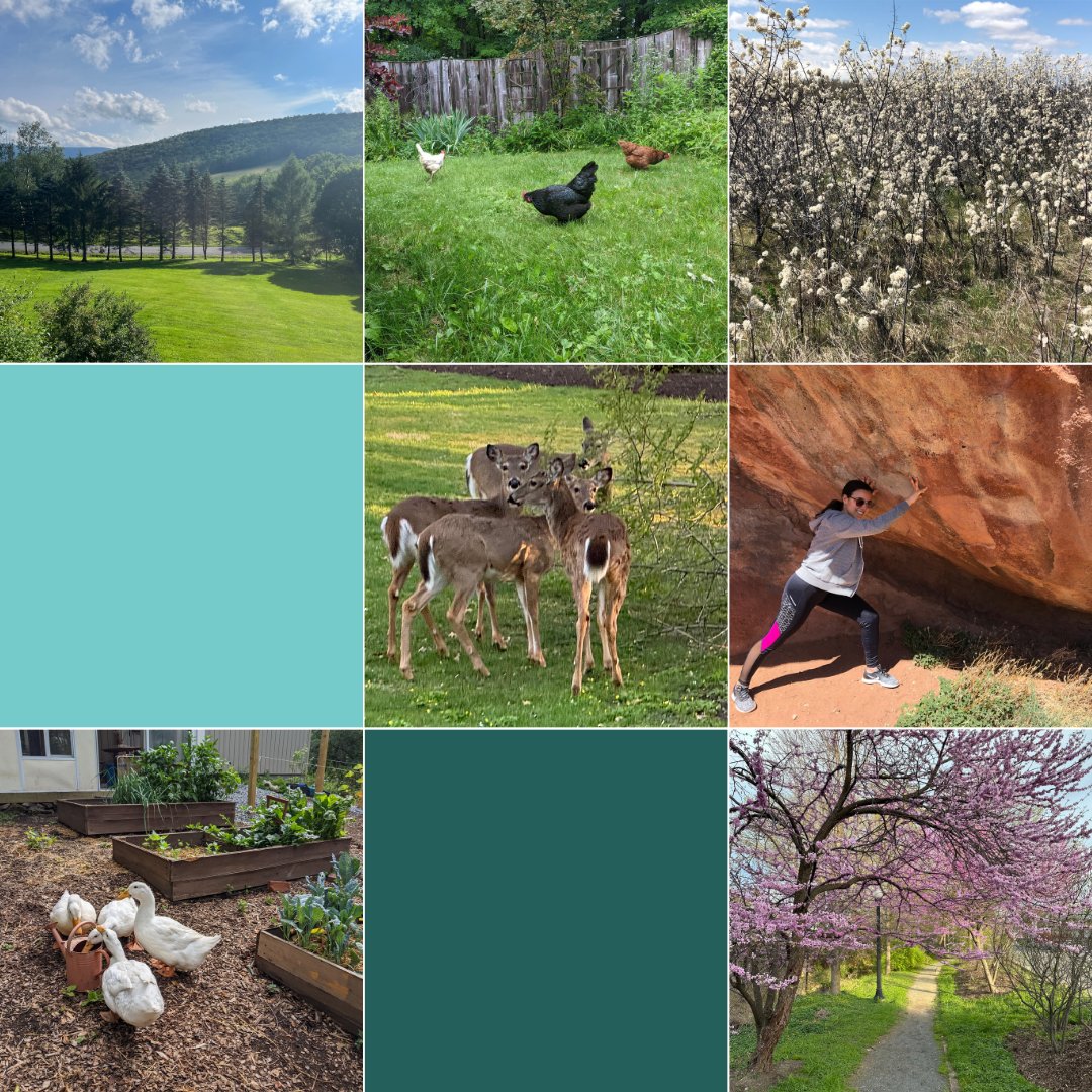 beacon_digital's tweet photo. Our team isn’t just talking green—we're living it 🌼🌿 #EarthDay2024 https://t.co/A8n1uRbOb1