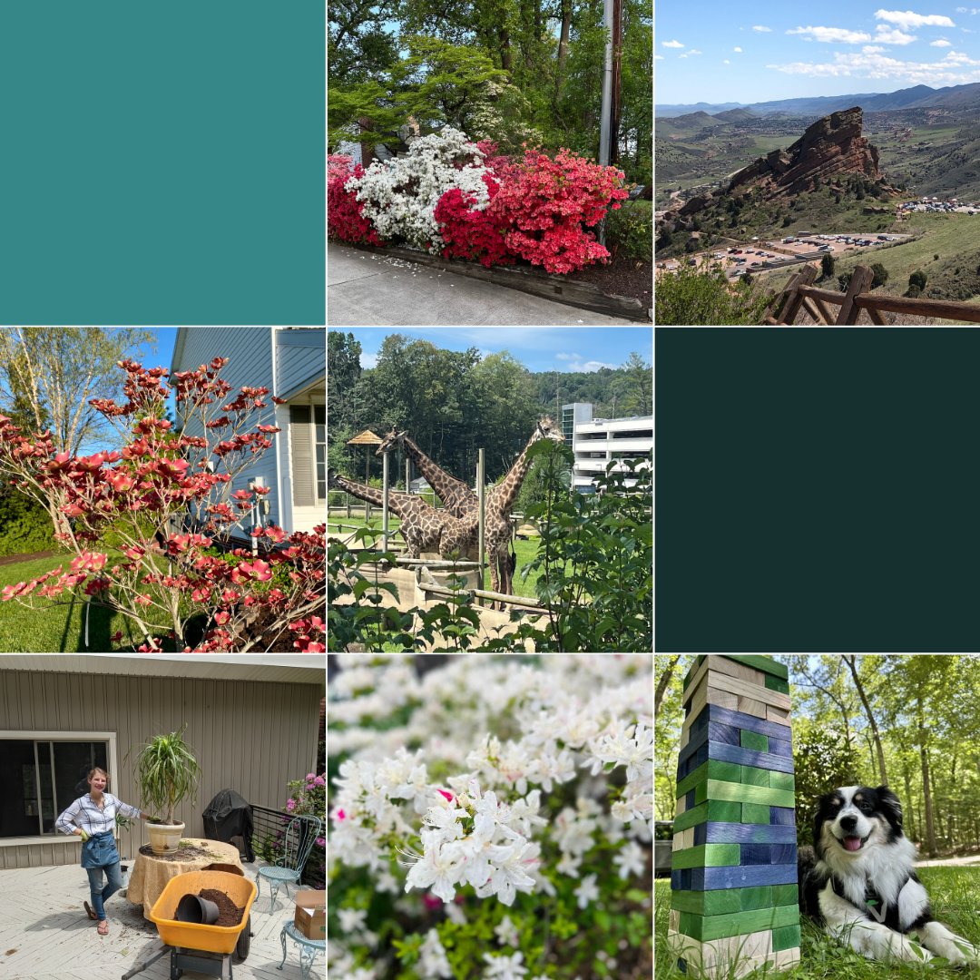 beacon_digital's tweet photo. Our team isn’t just talking green—we're living it 🌼🌿 #EarthDay2024 https://t.co/A8n1uRbOb1