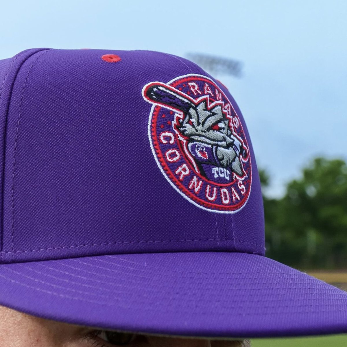 bigdonkey47's tweet photo. TCU’s Ranas Cornudas (Horned Frogs in Spanish) uniforms are just way too clean https://t.co/xU3pUjvWjT