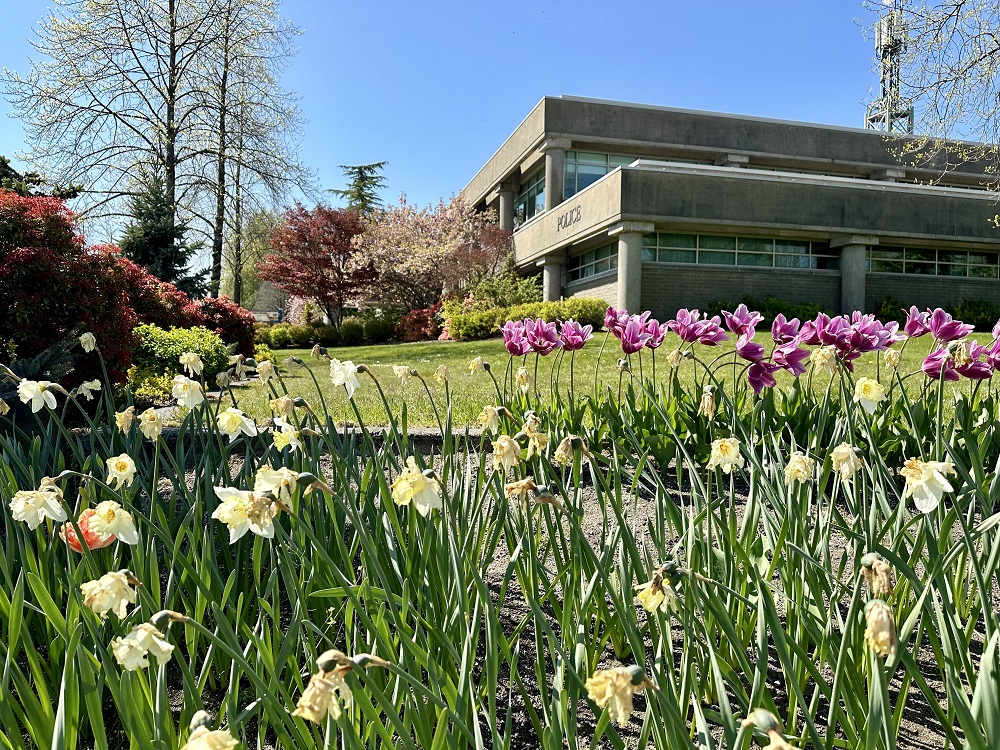 We hope you get a chance to enjoy the beauty of nature today. Happy Earth Day! 🌎