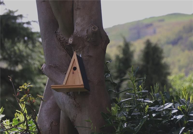 MSJ Sixth Formers crafted beautiful birdhouses, providing a sanctuary for our feathered friends, just in time for #EarthDay🌍 Read more about our Earth Day celebrations here: 👉 bit.ly/4aZwuD3 #WorcestershireHour #EarthDay2024 #GirlsEducation #Malvern