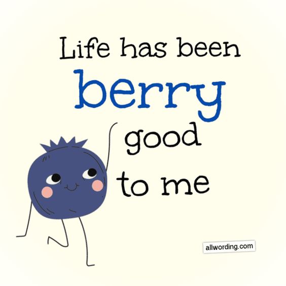 #blueberry #life