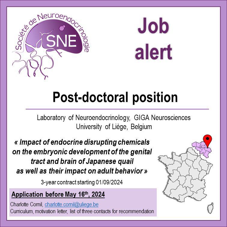 sneuroendo (@sneuroendo) on Twitter photo 🚨 Job Alert: Post-doctoral position avalaible in <a href="/cornil/">julie cornil</a> laboratory, Liege, Belgium. ⬇️ 🚨 Job Alert: Post-doctoral position avalaible in <a href="/cornil/">julie cornil</a> laboratory, Liege, Belgium. ⬇️