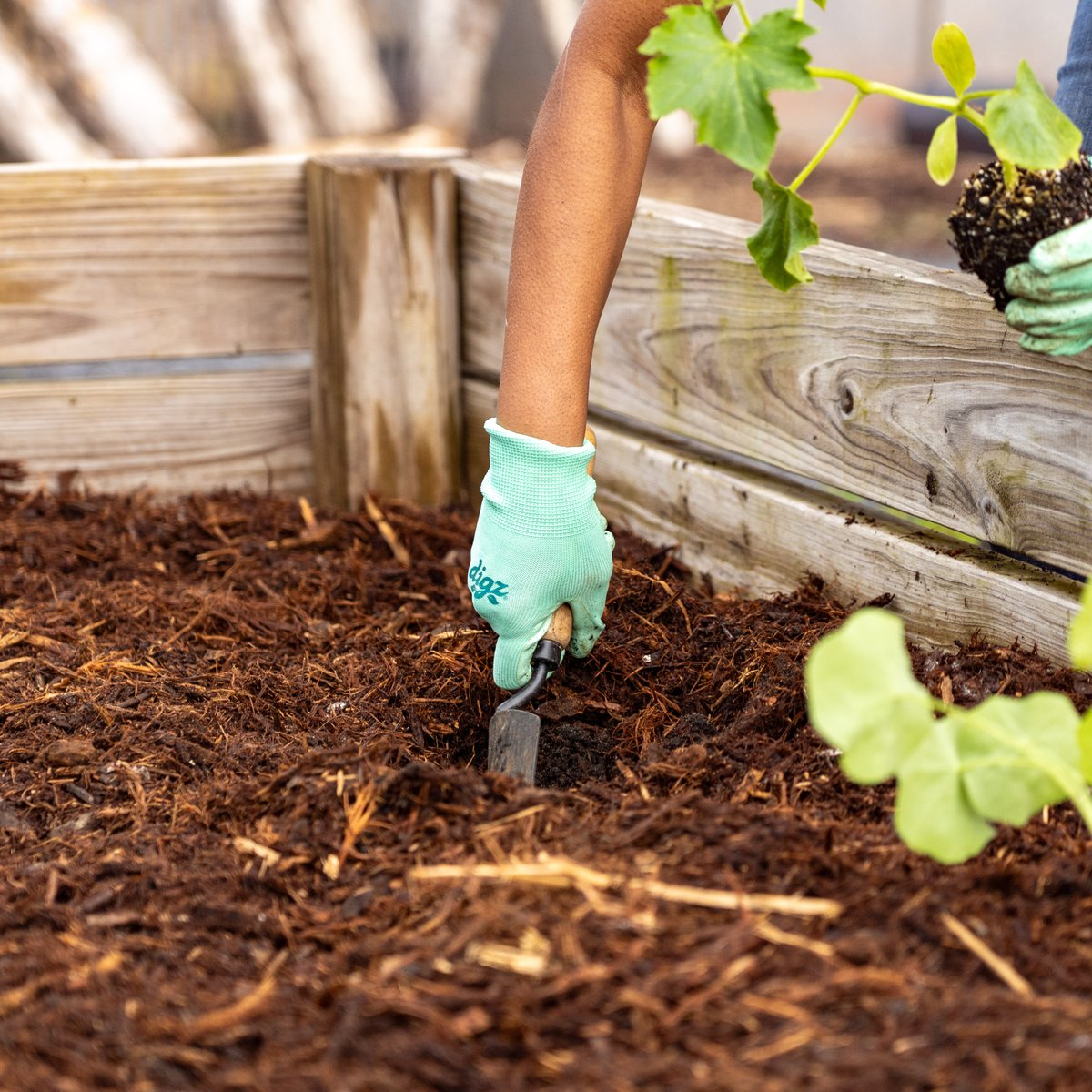 GWCC_ATL's tweet photo. 🌎🌱Celebrating Earth Day with a touch of green right here on campus!🌿

Today, GWCCA team members proudly joined hands with our friends @MBStadium to tend to the stadium’s urban garden.  Let’s continue to grow together!

#ChampionshipCampus #EarthDay #Sustainability #GreenLiving https://t.co/YMylZVAiuK