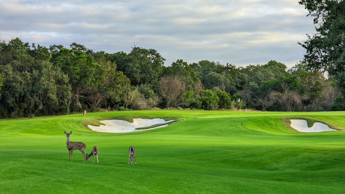 On April 22nd, we commemorate #EarthDay and remain mindful of our influence on the climate and the surrounding environment. We take pride in being a habitat for a diverse array of wildlife. 🌎🌳🦆