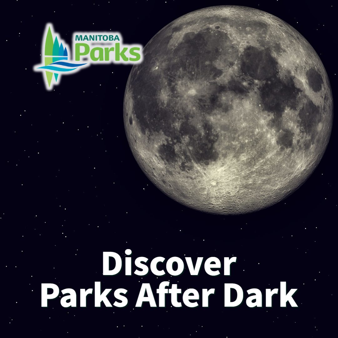 April's full moon is often called the Pink Moon! 🌕 The moon itself isn't actually coloured pink, but recognizes the springtime blossoming of flowers. For tips on viewing night skies in provincial parks, visit bit.ly/3rhX5FS
#ManitobaParks