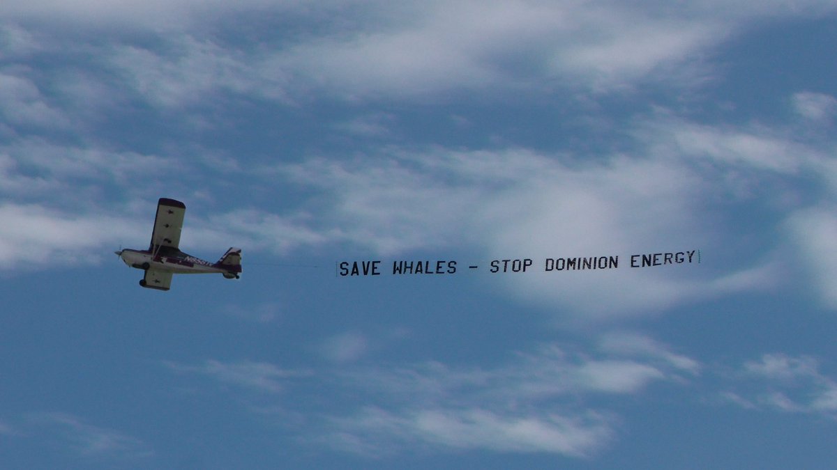 My friends at @CFACT flying over Virginia Beach trying to save the whales from @DominionEnergy's offshore wind project. #EarthDay2024