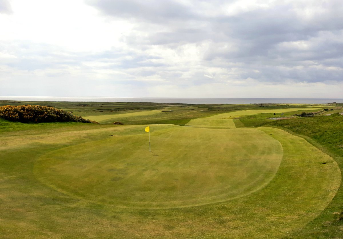 Jezz Ellwood tweet media