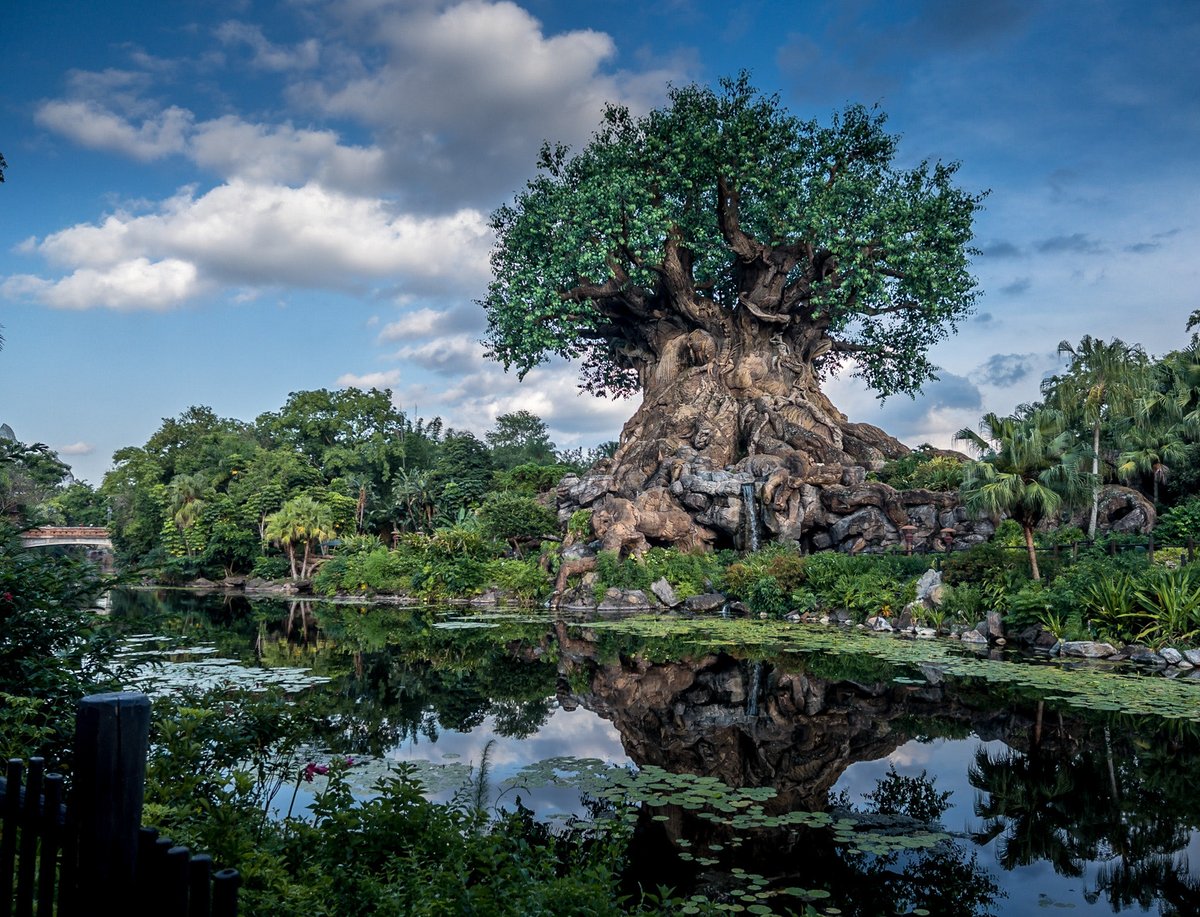 I’ve seen a lot of Animal Kingdom posts today for Earth Day, so I thought I’d jump in. Throwback to one of my favorite shots from Animal Kingdom. #waltdisneyworld #animalkingdom