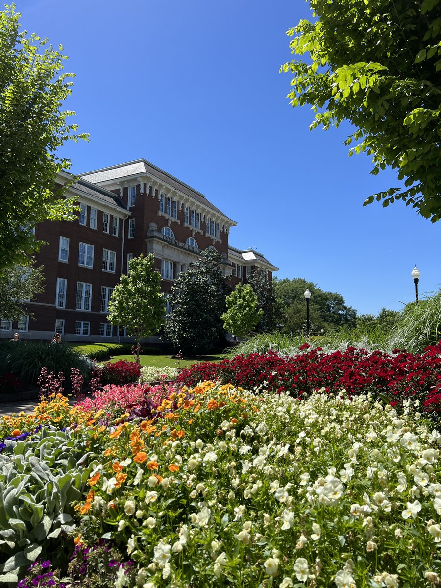 Happy #EarthDay from the Drill Field! ☀️ MSU's newly-installed solar facility, the largest in the SEC, will provide campus with 2.4 million kW hours of renewable energy each year. Click below to learn more! 🔗 msstate.edu/newsroom/artic…