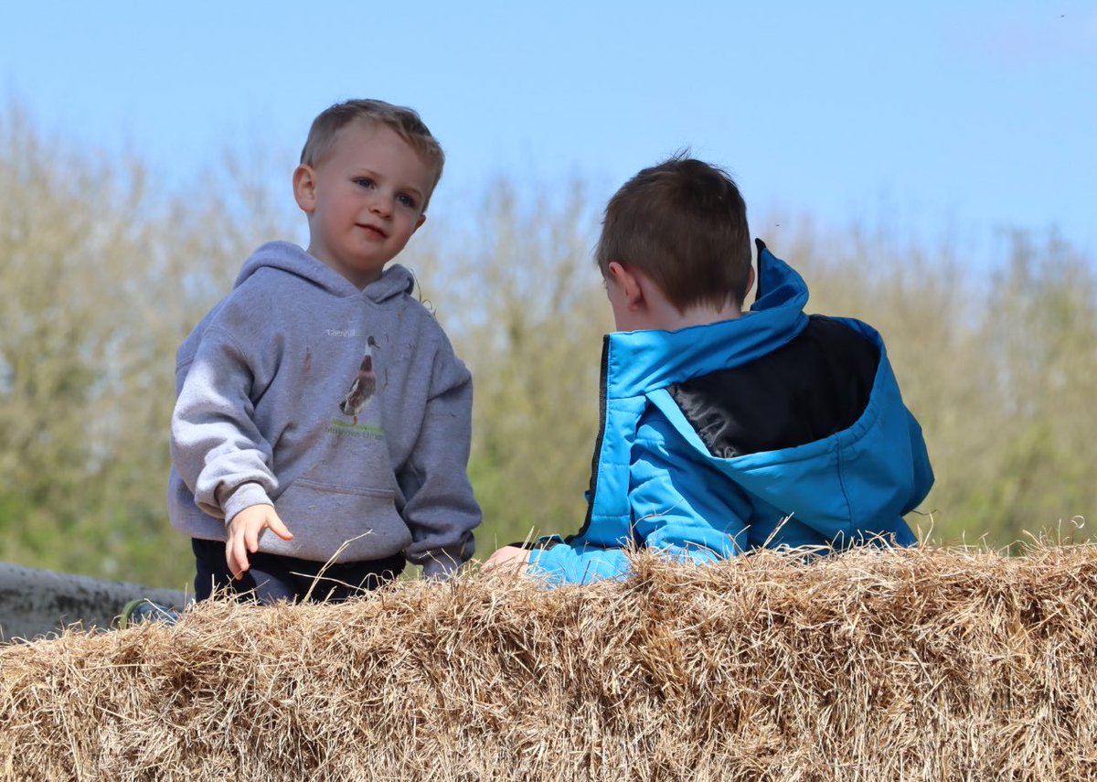 Busy week ahead for these little farmers, especially the smallest. Here’s hoping we catch up on all the magical farm content between. 

#littlefarmers #weekahead #myboys #mumlife