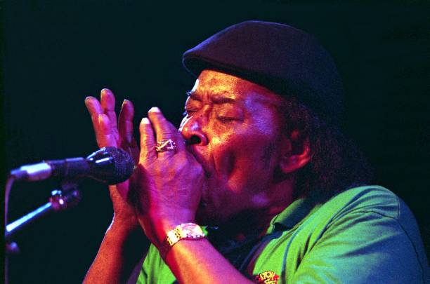 James Cotton #bluesharp
youtu.be/jBeuco0PgJs?fe…
Photo by Tim Mosenfelder