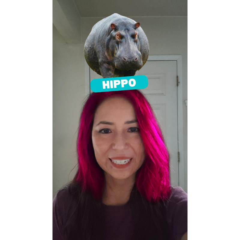 🌎🌳🌊Happy Earth Day! 🌊🌳🌎
We created this effect filter so you could find your inner wild animal and hair color to match! Find it on on TikTok and IG!  Don't forget to tag us (Shaking Earth Digital)
TikTok: shorturl.at/ELPT2
IG/FB: shorturl.at/dZ014
