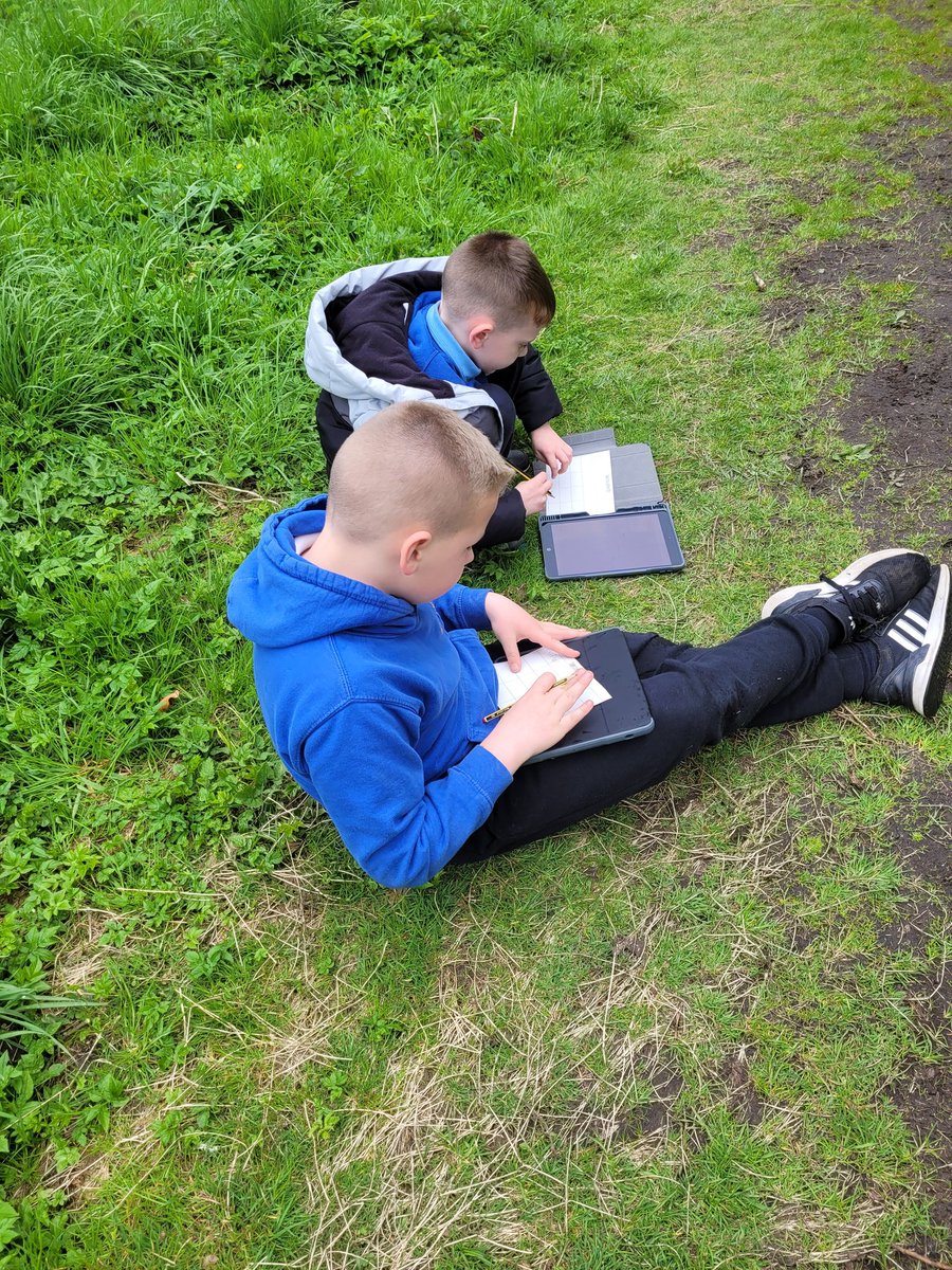 Miss Innes tweet media