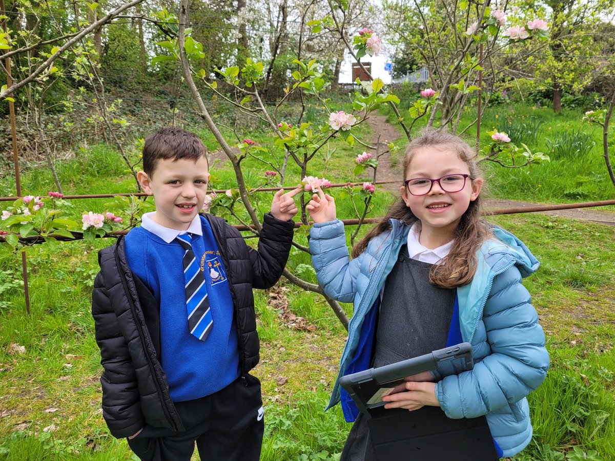 Miss Innes tweet media