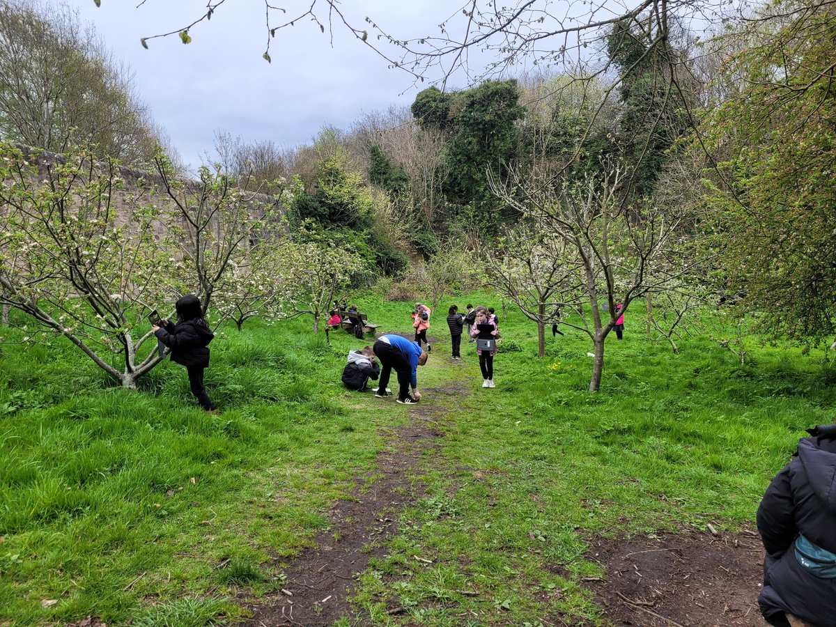 Miss Innes tweet media