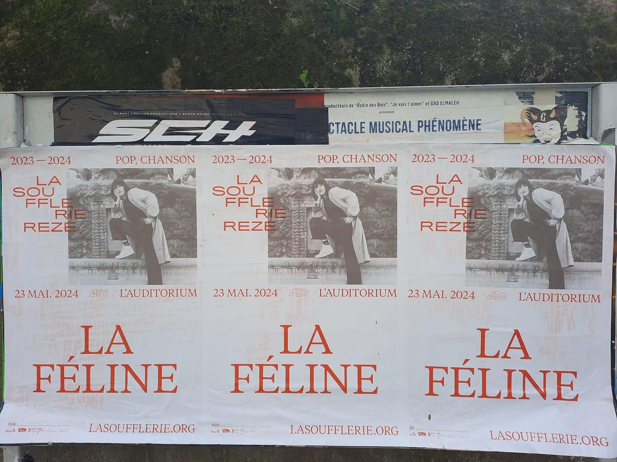 #musicalphenomene le 23/05 à l’Auditorium de la @La_Soufflerie, avec le chœur Euphonix. Joie!