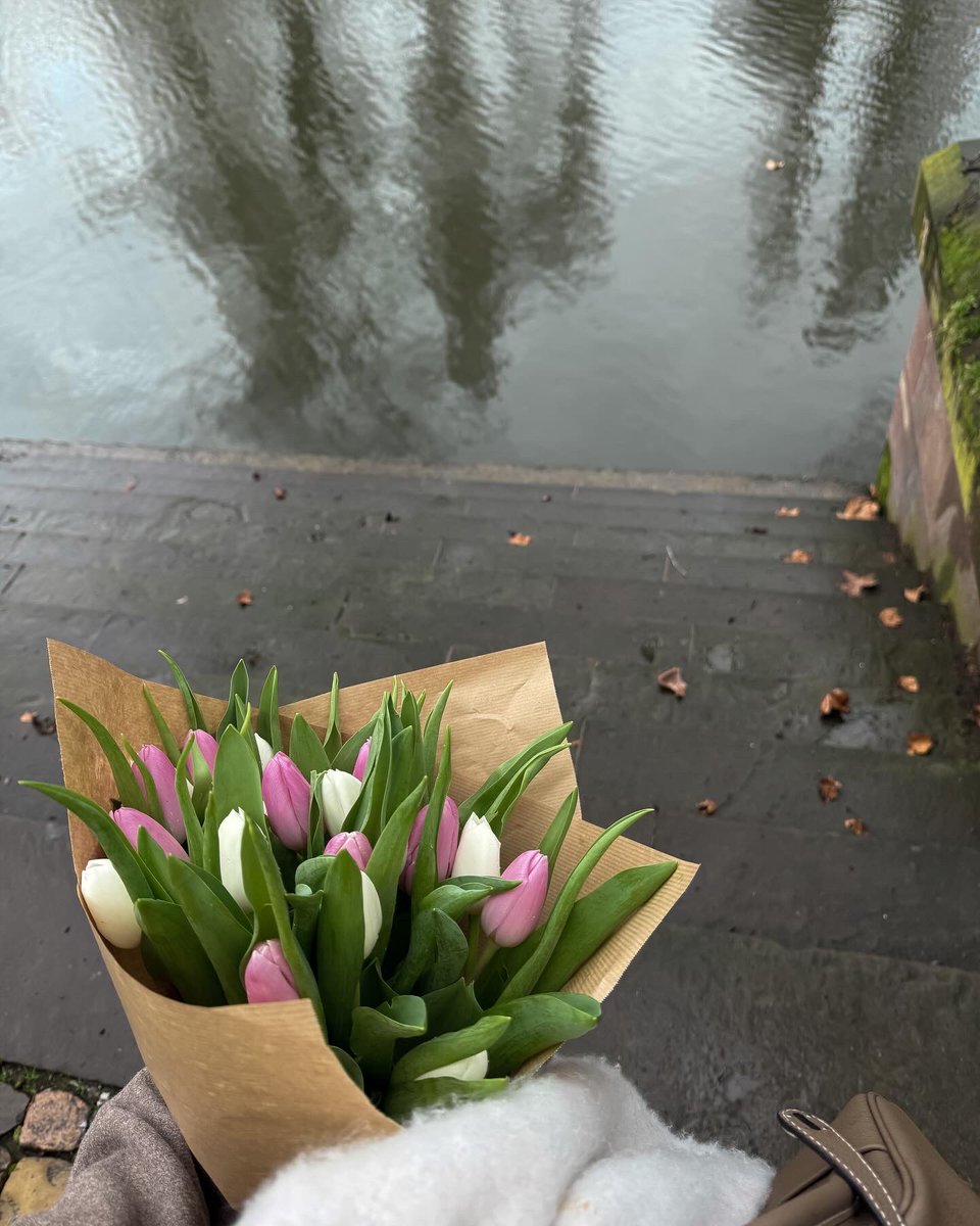 Lavie en rose 🎶

#راقت_لي