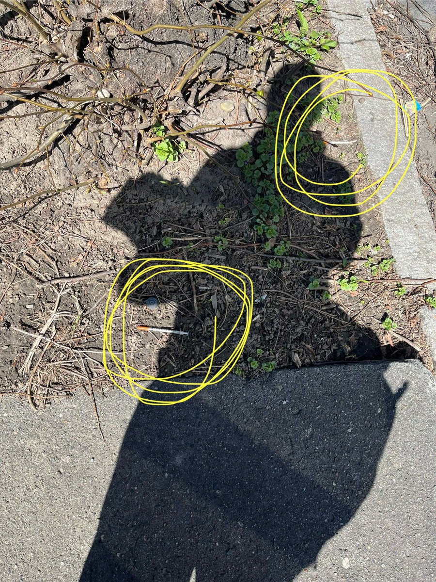 You ever going to do something about all the needles throughout the city <a href="/MayorSheehan/">Albany Mayor Kathy Sheehan</a> #AlbanyIsNOTSafe