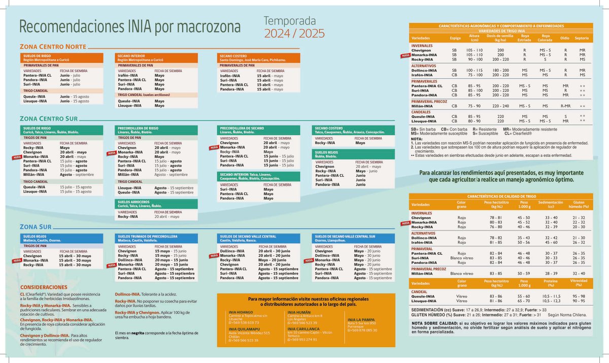 La producción nacional de trigo es fundamental para la seguridad alimentaria del país. Anualmente @iniachile elabora la cartilla de recomendación de variedades de trigos de alto rendimiento, buena calidad y resistentes a enfermedades, creados x el programa de trigo de #iniachile.