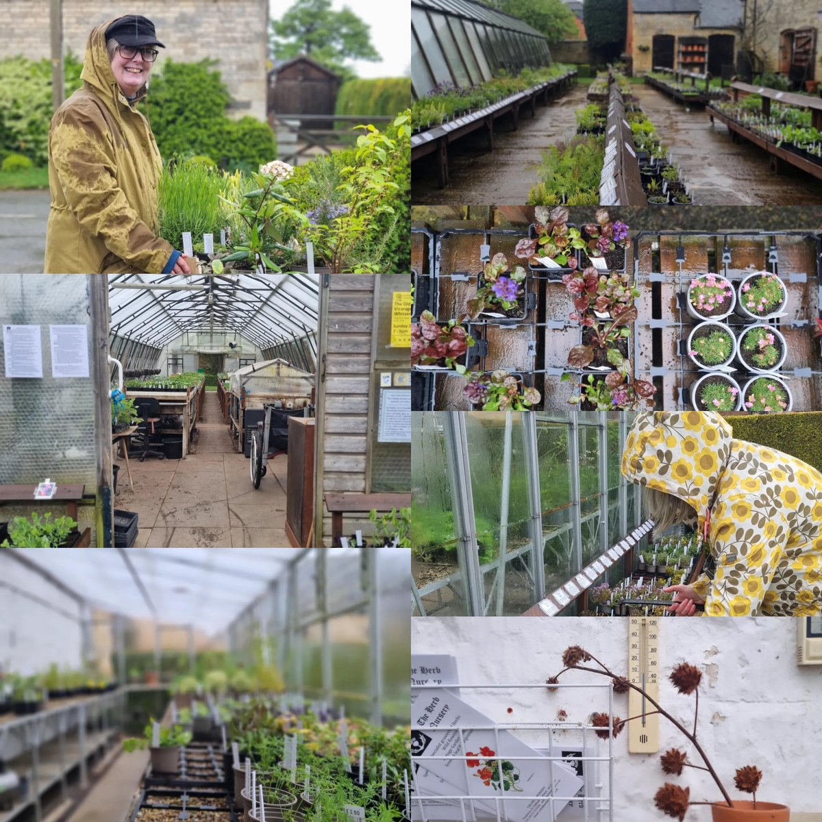 An exciting update from the Belgrave Community Garden. Great to see them supporting local business The Herb Nursery with funds from their #comunitygarden grant. We can't wait to see it all growing🌱 #supportlocalbusiness herbnursery.co.uk linktr.ee/belgravecommun…