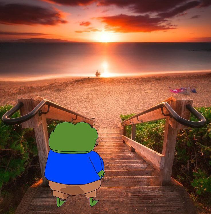 I’ll be in Florida soon for work in the Fort Myers area. Please send suggestions frens! Things to see & do. Places to eat. Other places nearby I should I explore. I’d like to go to the beach, experience part of the city, & definitely want to see animals & some good nature spots.