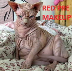 RedsCook tweet picture
