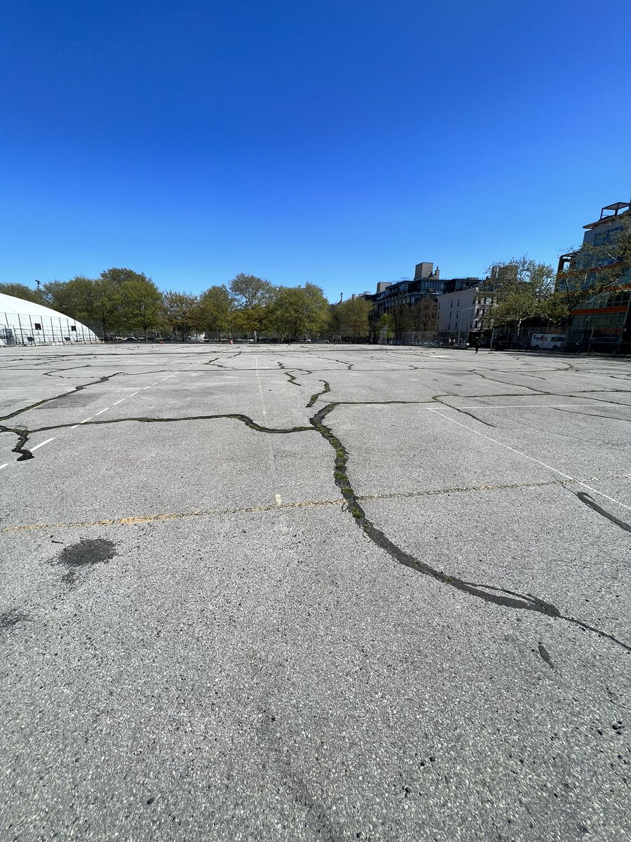 Not a single pickleballer in sight. Nature is healing