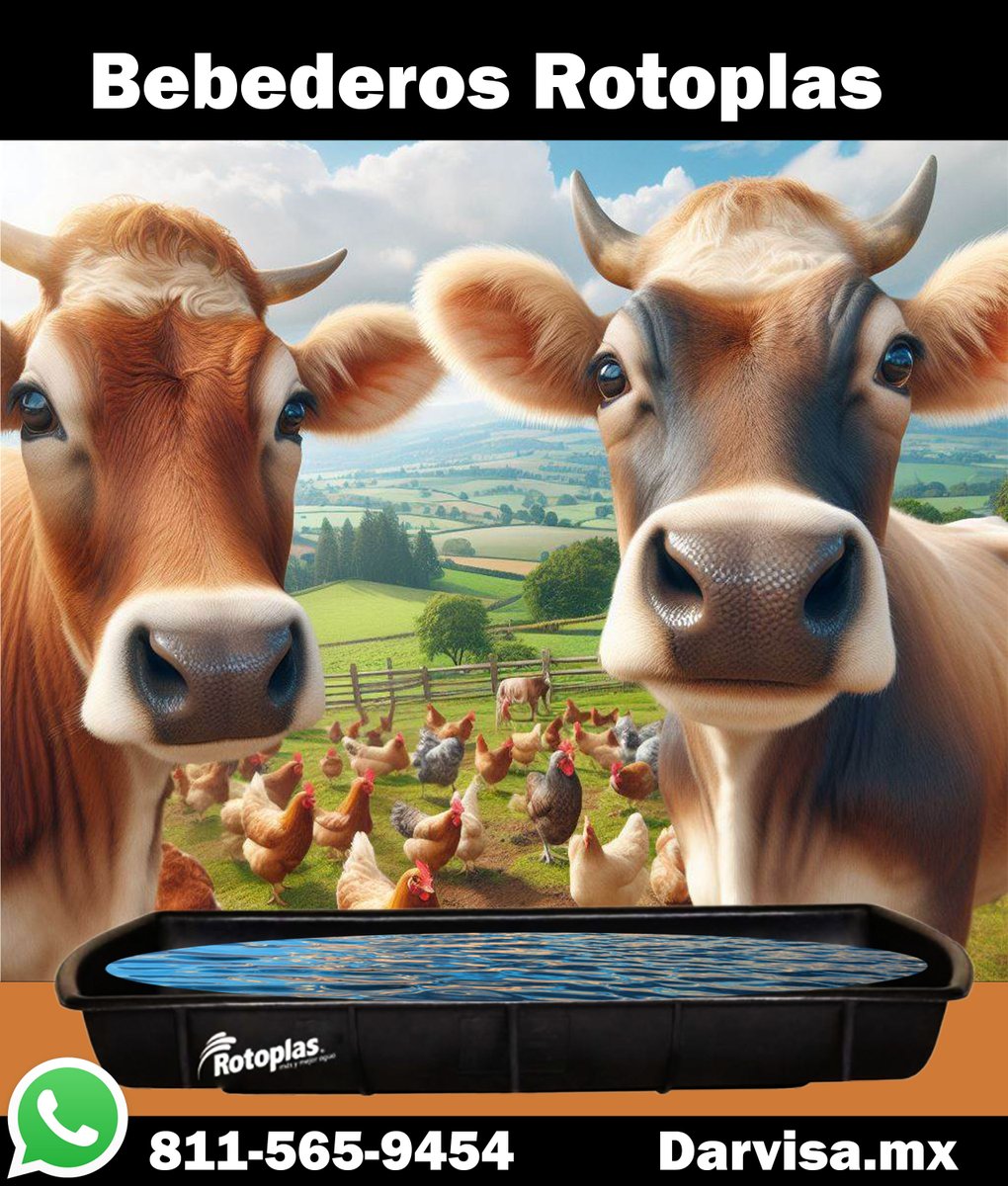 Darvisa2's tweet photo. Bebederos Rotoplas, ideales para mantener feliz a tu Ganado.

Distribuidora Autorizado Rotoplas DARVISA. 
*Los Enviamos Hasta Tu  Rancho.    

#Bebederos #Rotoplas #iztapalapa  #DebateChilango
#Clara #DeadpoolAndWolverine #Cancun #Monterrey #Mtyfollow #CdVictoria #Reynosa https://t.co/SlK5a1u8JC