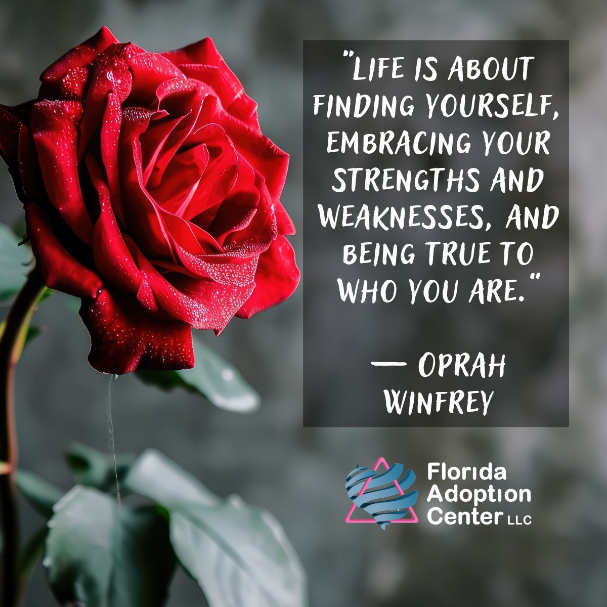 At Florida Adoption Center love makes a difference!

#FloridaAdoptionCenter #AdoptionSupport #AdoptionInformation #AdoptionEducation #Adoption #AdoptionFlorida #AdoptionInspiration #AdoptionJourney #FloridaAdoption #AdoptionQuestions #AdoptionAgencyFlorida #OpenAdoption