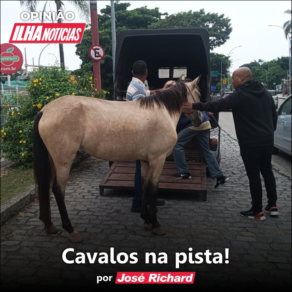 ilhanoticias tweet picture