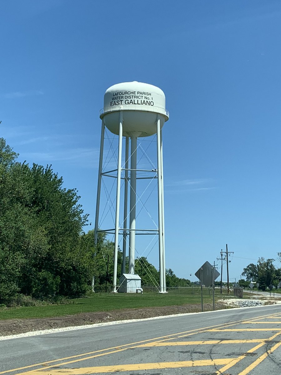 Taking a trip “Down The Bayou” today!