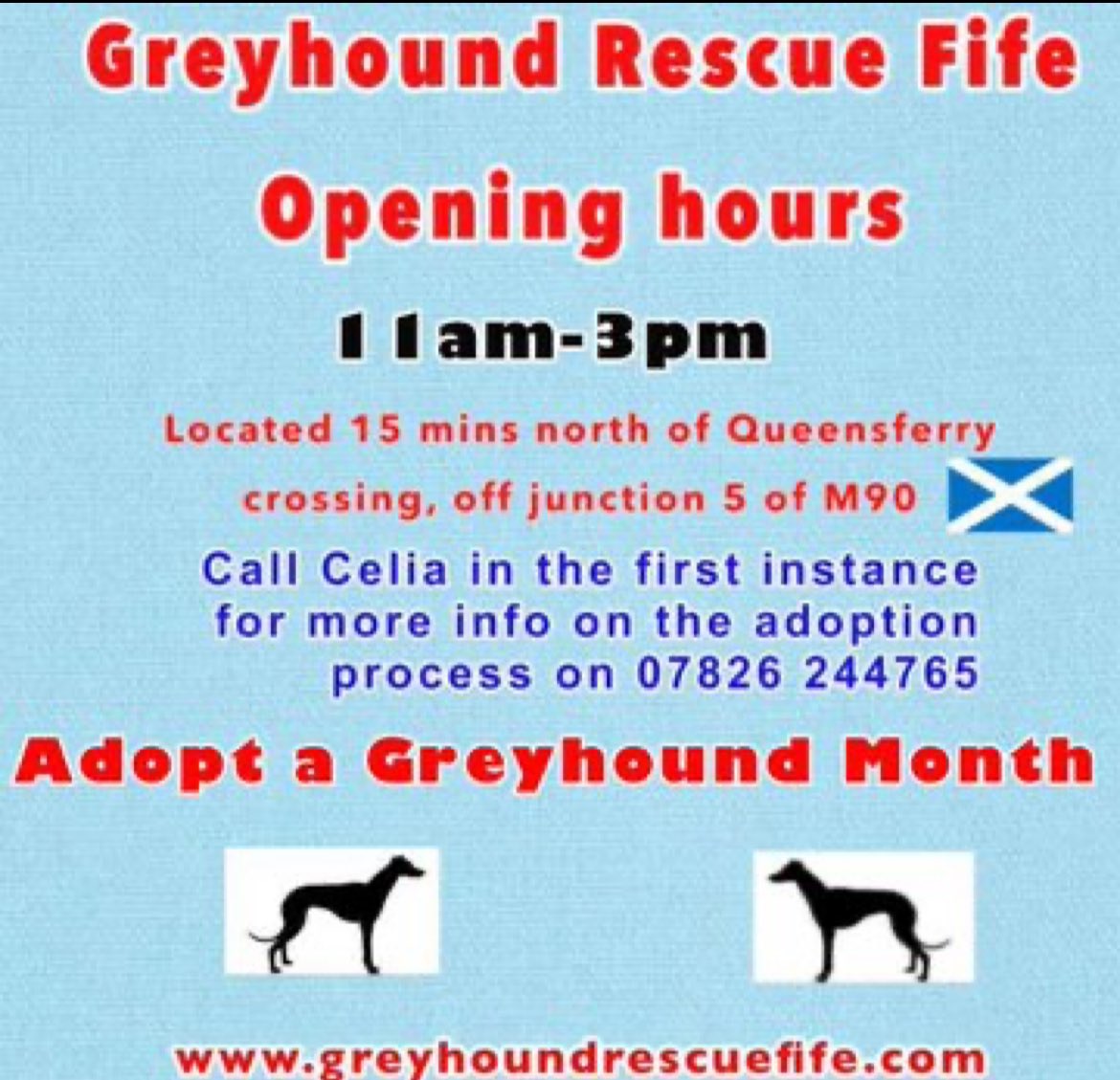 GreyhoundRFife tweet picture