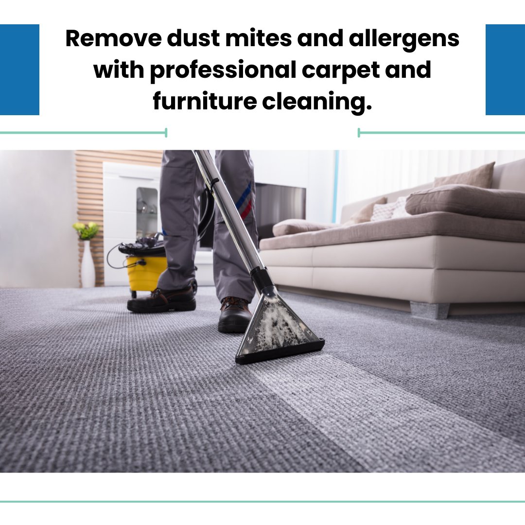 Remove dust mites and allergens with professional carpet and furniture cleaning.

#HealthyHome #CleanLiving #IndoorAirQuality #ProfessionalCleaning #DustMites #Allergens #FurnitureCare