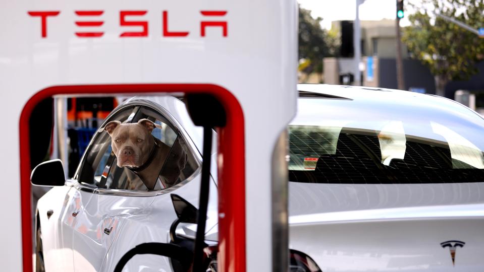 Here's What To Look For In Tesla's Crucial Earnings Report Tuesday go.forbes.com/c/3Xvh