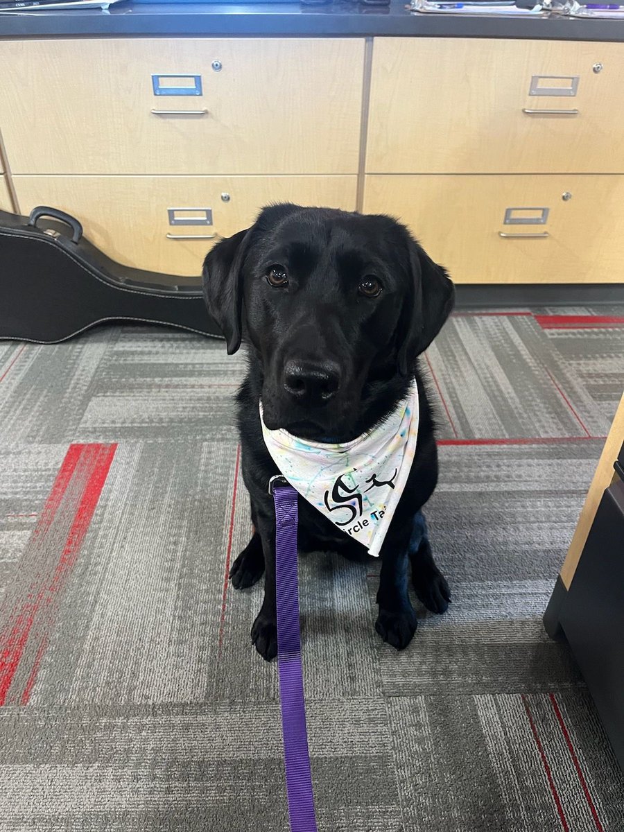 Michael Berkemeier tweet media