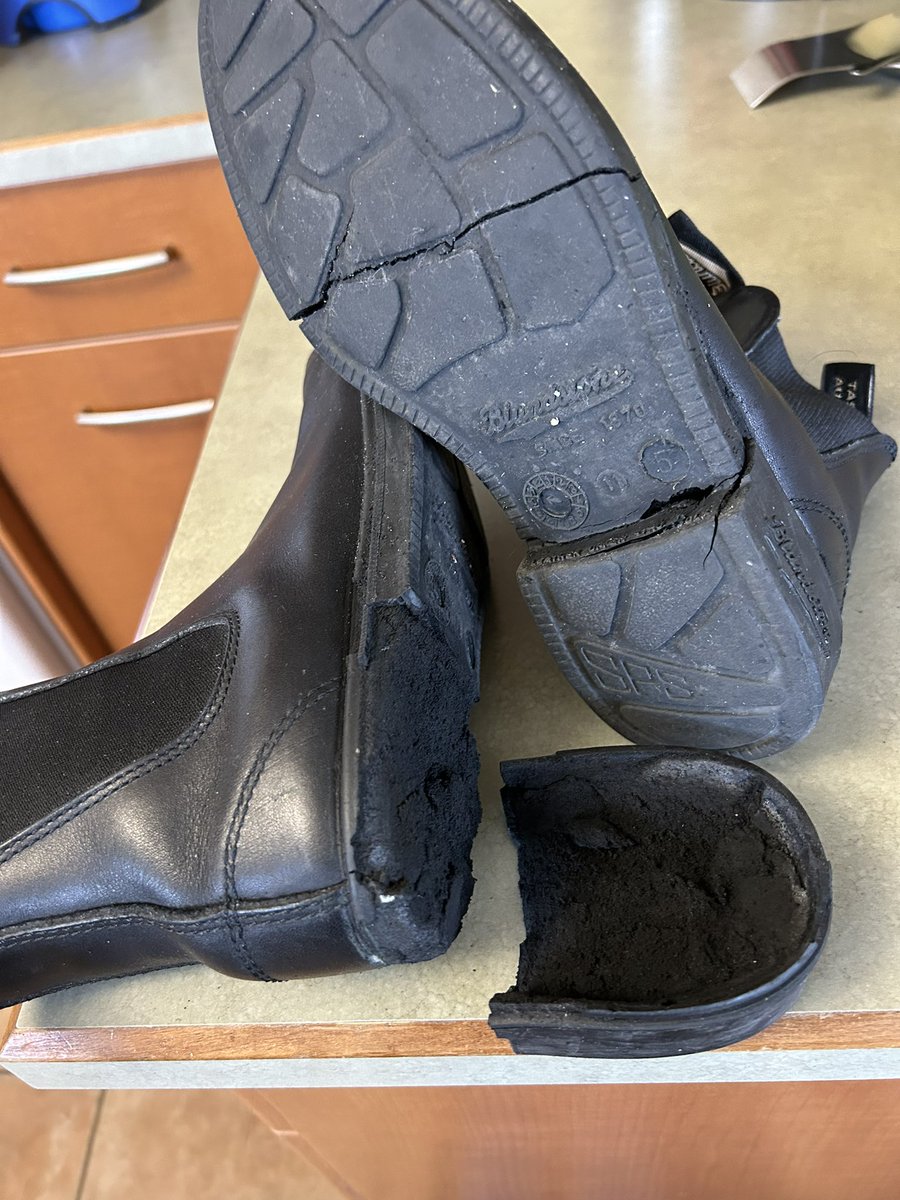 Jacqueline Ray tweet media