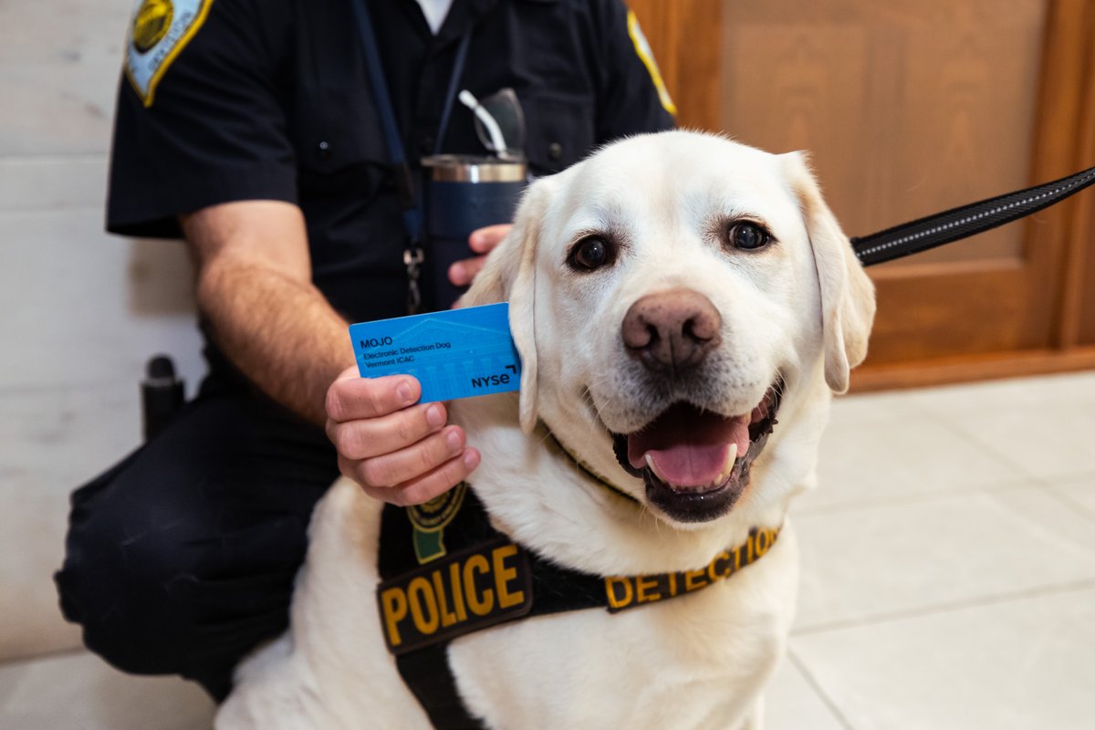 Introducing Mojo – the inspiration behind our iGuardian pup, Captain Canine Mojo! Mojo works for the @VTAttorneyGen Internet Crimes Against Children Task Force. Mojo sniffs out devices and leads officers to the evidence they need to make an arrest. Visit know2protect.gov.