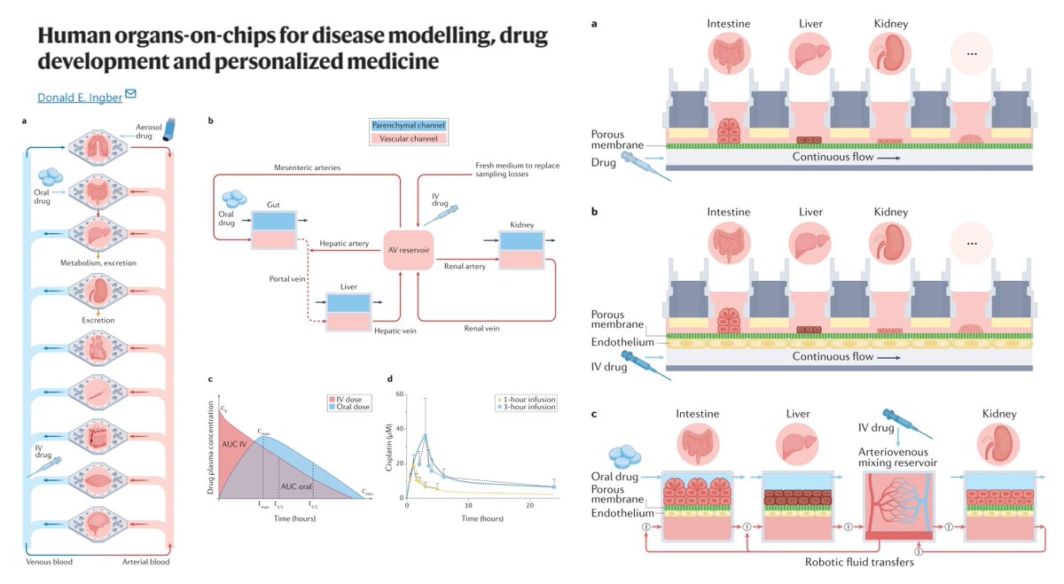 HaoYin20's tweet image. Human organs-on-chips for disease modelling, drug development &amp;amp; personalized medicine

Clinical mimicry of #OrganOnAChip #Microfluidics

A timely must-read👹

Pharmacokinetics/pharmacodynamics using #HumanBodyOnAChip
Personalized drug selection using isogenic iPSC-derived…