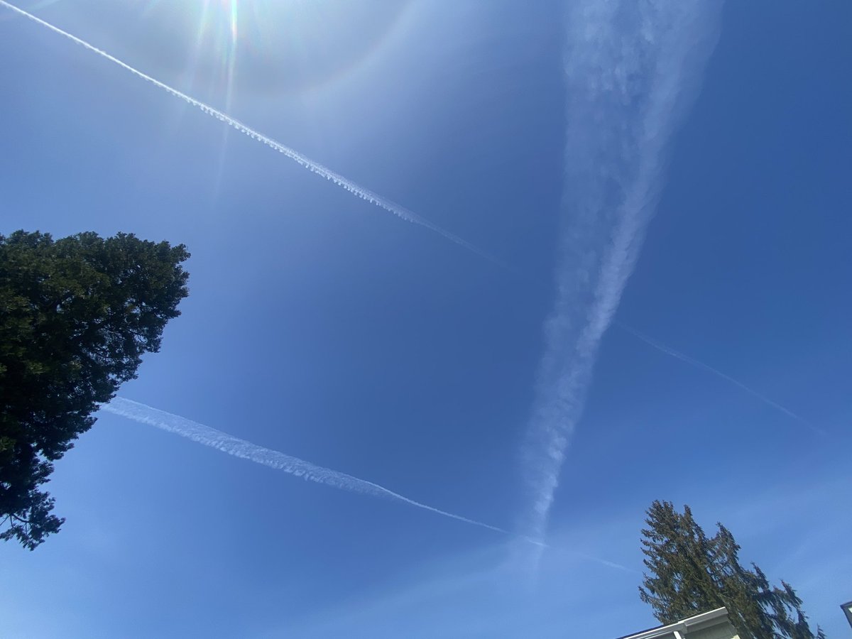 Look at this shit! Oregon chemtrails! This never ever stops! A beautiful blue sky day with not a cloud in the sky and the sky bastards are making sure that our skies will turn solid white in a few hours! Fck you! #Chemtrails #SkyBastards