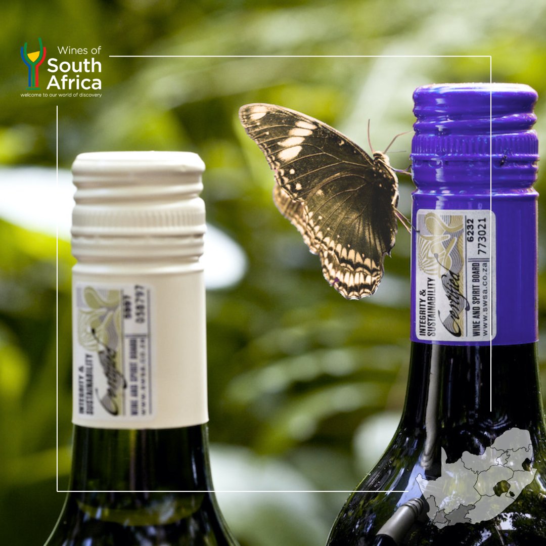 Happy #EarthDay! 🌎 As we celebrate our beautiful planet, we're proud to reflect on the sustainable practices that define our commitment to environmental stewardship in the South African wine industry.
