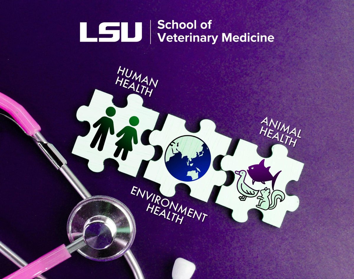 Happy Earth Day! Health and the environment are interconnected. LSU Vet Med advances a One Health approach by using our expertise in veterinary medicine, biomedical research, and collaboration to solve complex health issues for animals, humans, and the environment we share. #LSU