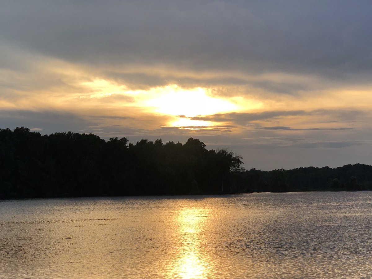 One of my favorite places near to home: The Chesapeake Bay is the nation’s largest estuary, home to many species, some protected. Threatened by warming and rising waters, the Chesapeake Bay is feeling the heat. #EarthDay2024