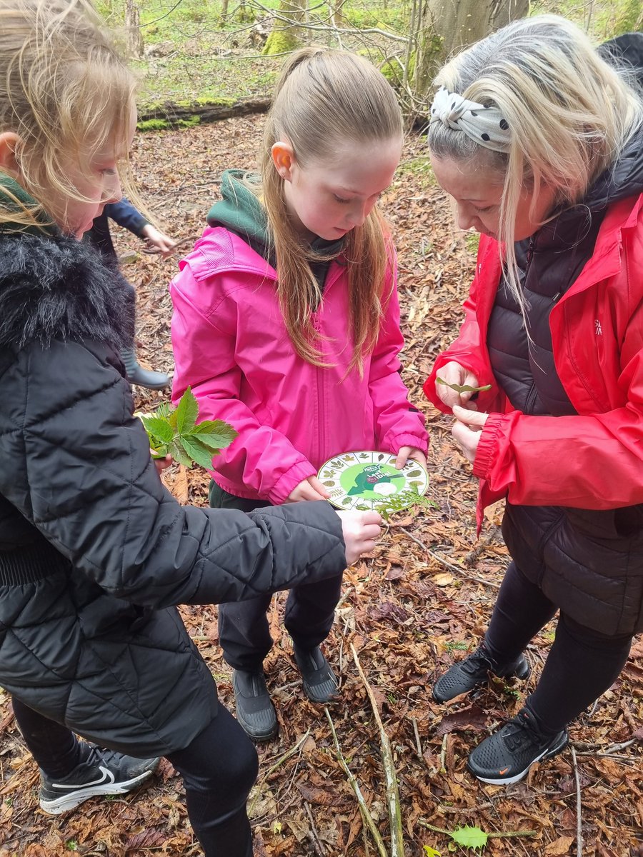 🤩 Motherwell Youth Work Team had a fabulous time supporting 34 young people to achieve their Outdoor Discovery Award @nnas_uk congratulations to all who participated! 🤩 @StBrendansPS #ThisIsYouthWork #OutdoorDiscoveryAward #BecauseOfCLD