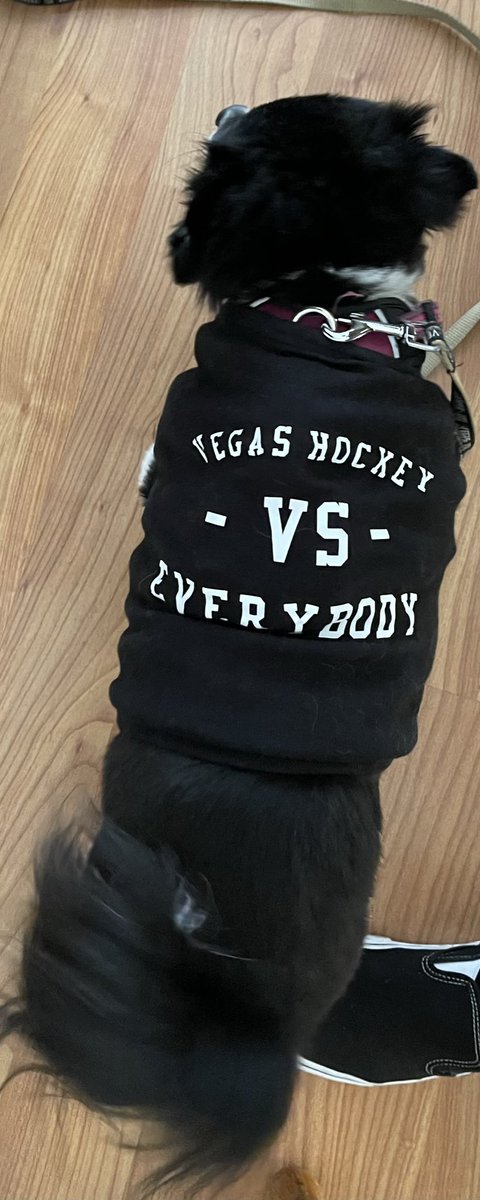 VGKPandaPup's tweet photo. Itβs the start of the #NHLSecondSeason, the #NHLPlayoffs . & Iβm ready for it. Iβm here throwing my support behind our goalkeepers, LT & Adin. How, by getting #VegasBorn to give me #LuckyVGKPlayoffNoseBoops!
#LetsGo
#VGK9Krew
#VegasHockeyVsEverybody
#TheFireReturns
β€οΈπΌπΆ https://t.co/yQLcpqhjSX